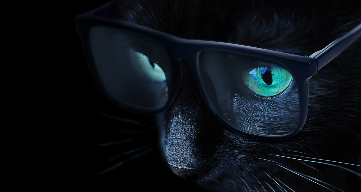 BlackCAT, un ransomware multiplateforme sous RUST