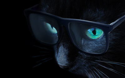 BlackCAT, un ransomware multiplateforme sous RUST