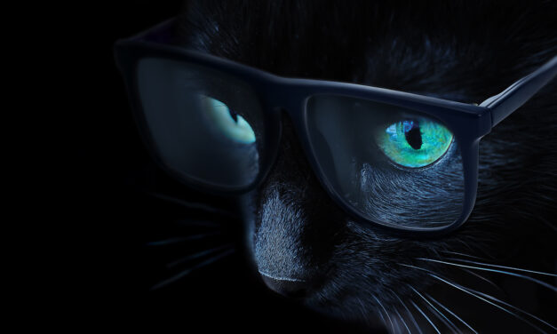 BlackCAT, un ransomware multiplateforme sous RUST