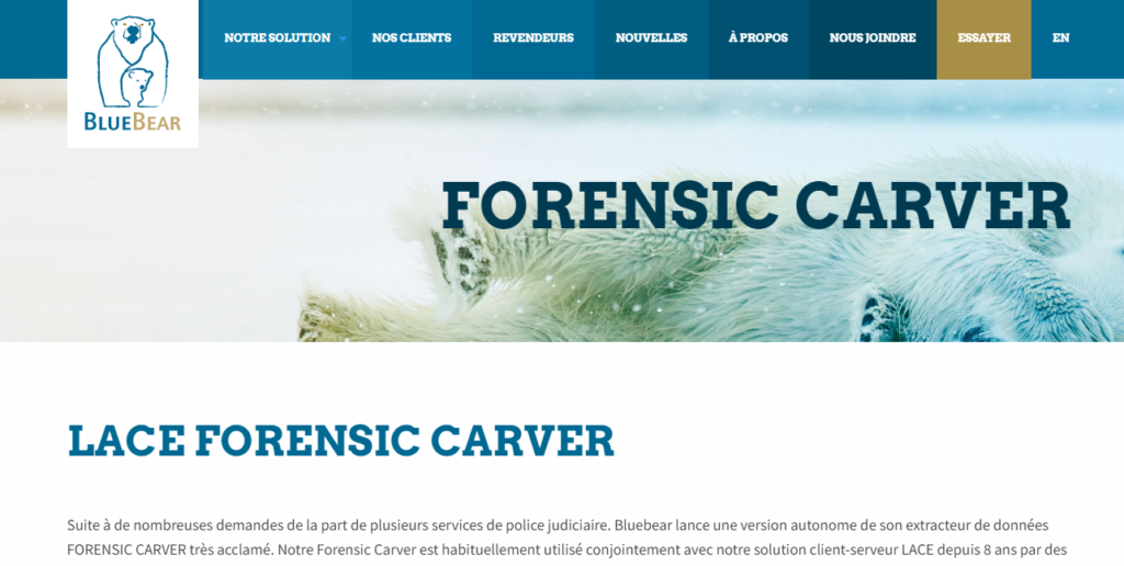 BlueBear Lace Forensic Carver